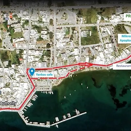 Proteus Elegant In * Adámas